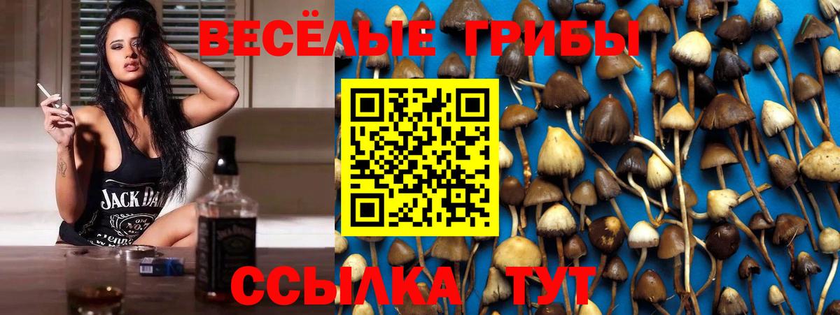 Псилоцибиновые грибы мицелий  Вход с VPN  Артёмовский 